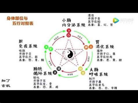 五行歸類表|陰陽五行對照表(綜合版)